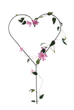 Hjerteformet espalier 69 x 123 cm